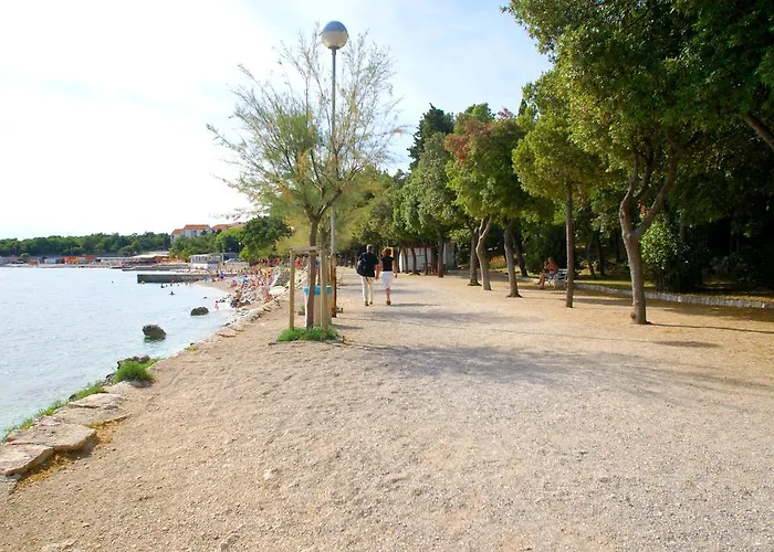 Buneta